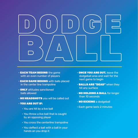 Dodge Ball Rules - 2 Ft Square Sign