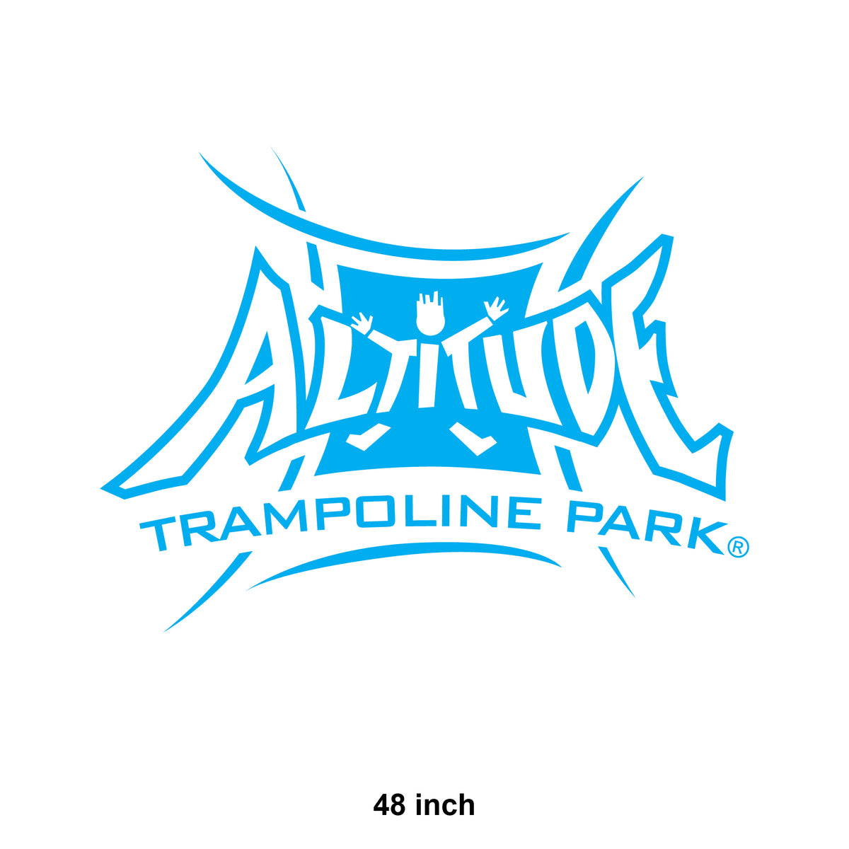 Cyan Logo Decal – Order Cdesigns