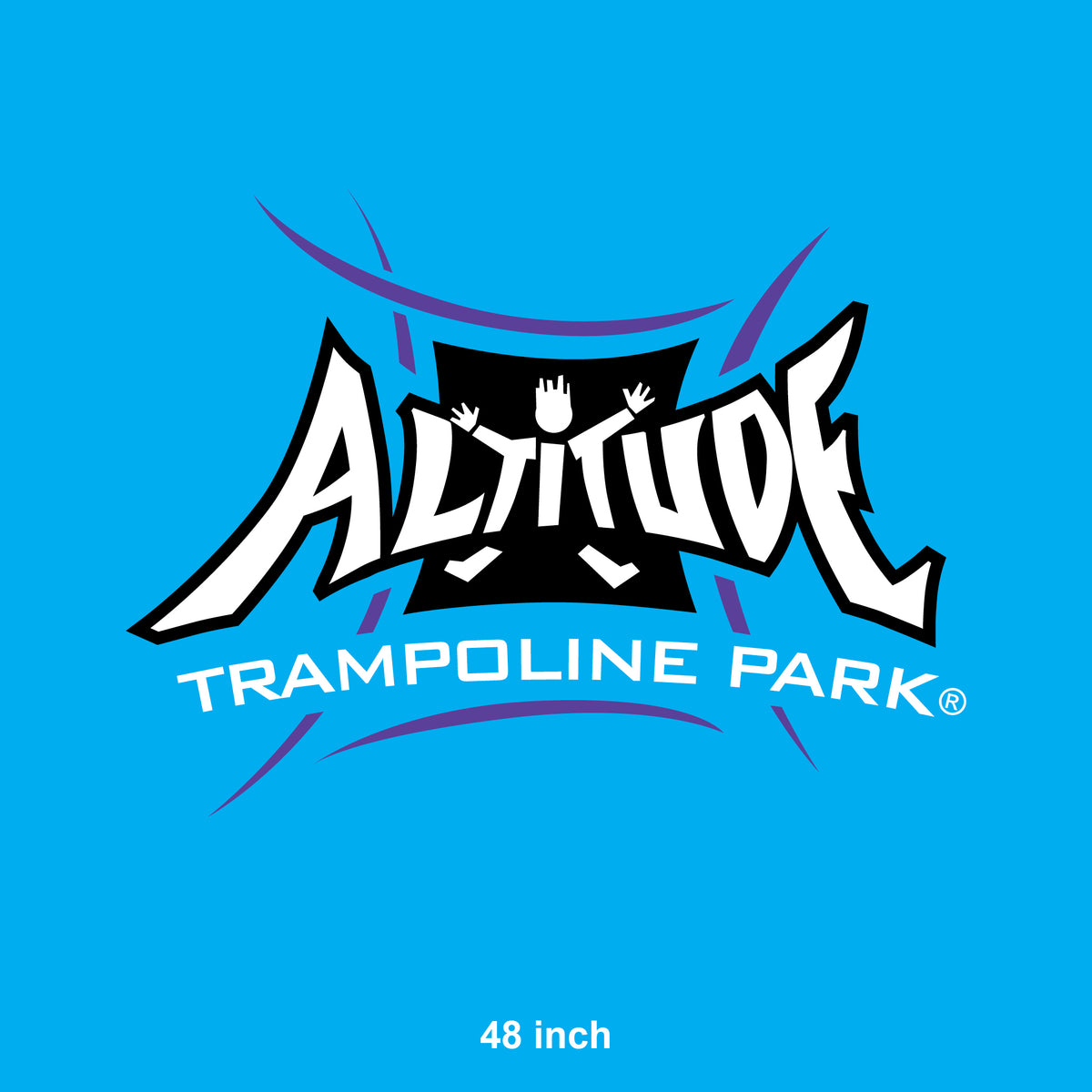 Logo Decal (Full Color on Cyan Background) – Order Cdesigns