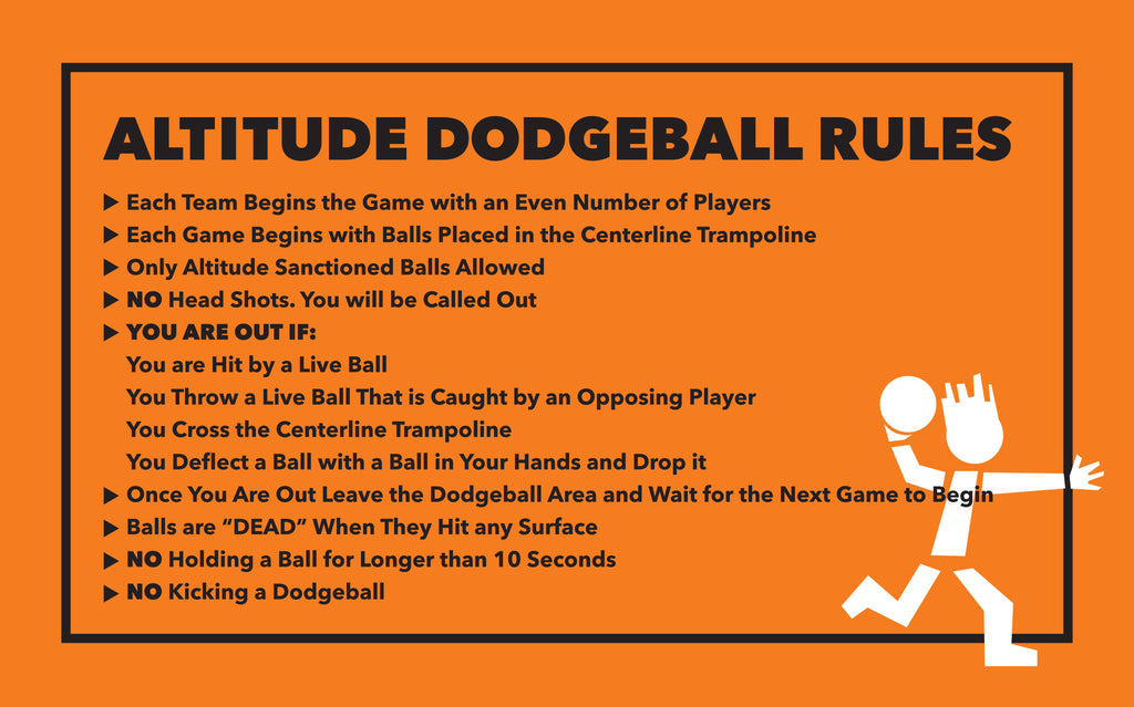 Dodgeball Rules Sign Order Cdesigns